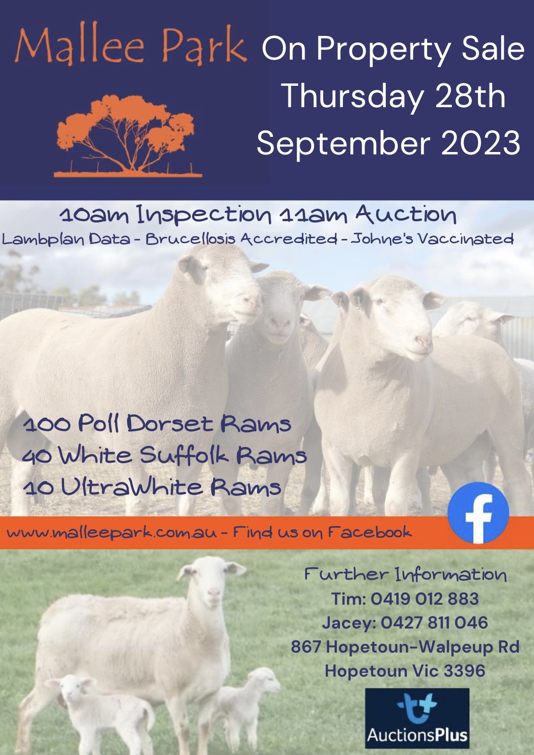 363315529_784101873506129_1972173052989420487_n